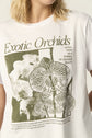 Remera Clarisa