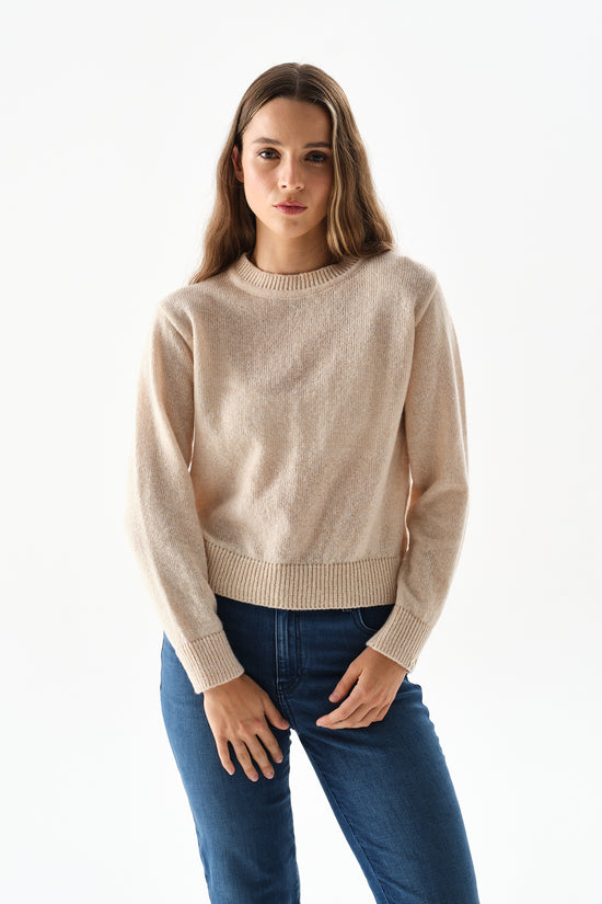 Sweater Gala